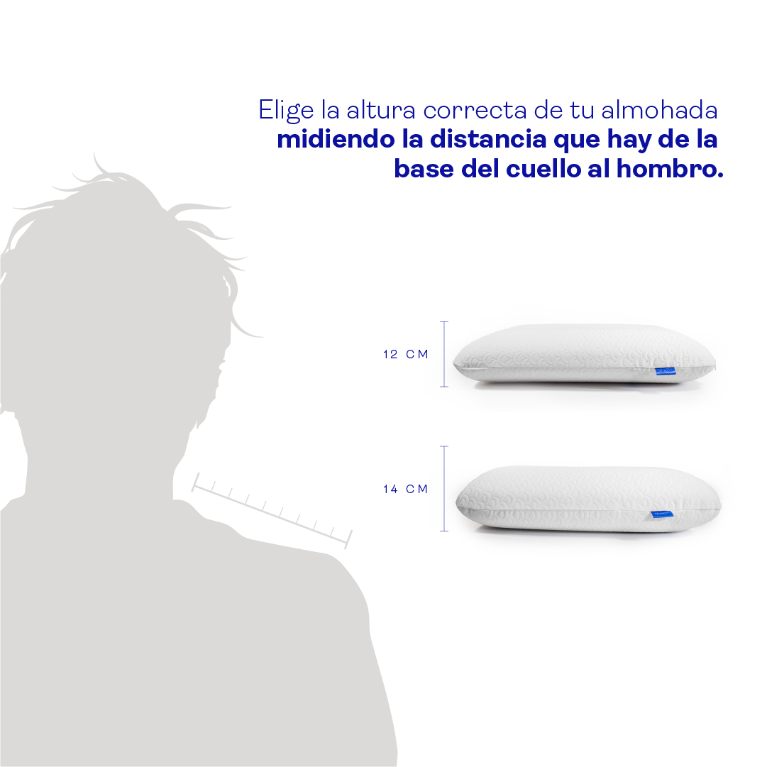 Kit X2 Almohada carbono tradicional lux - View 2